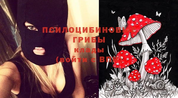 метадон Алексеевка